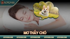 Mơ thấy chó